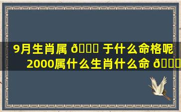 9月生肖属 💐 于什么命格呢「2000属什么生肖什么命 🐞 格」